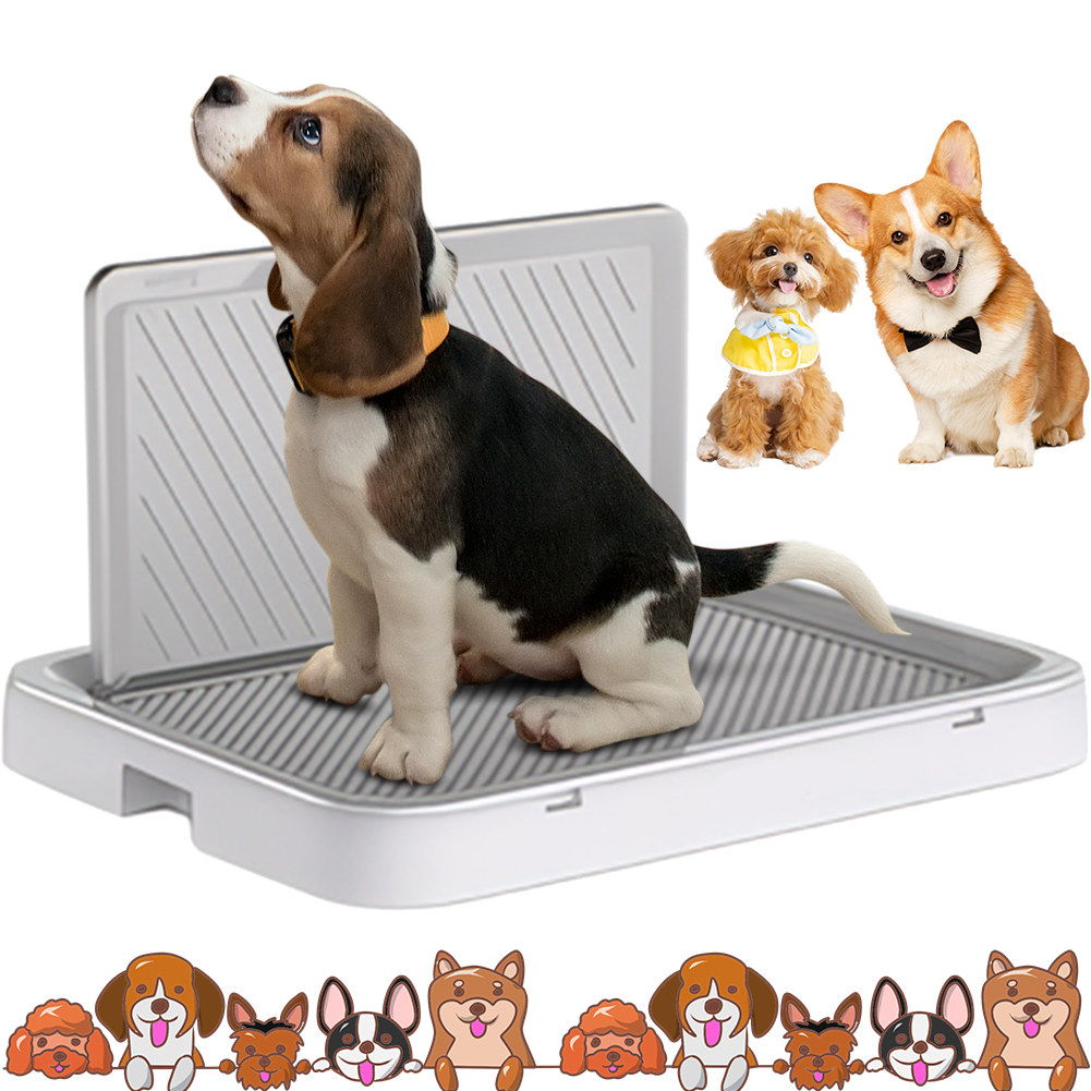 Dog Potty Tray with Pee Wall T - Bench Dog Hole recensione e prezzo