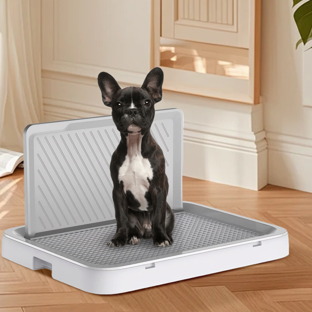 Dog Potty Tray with Pee Wall T - Bench Dog Hole recensione e prezzo