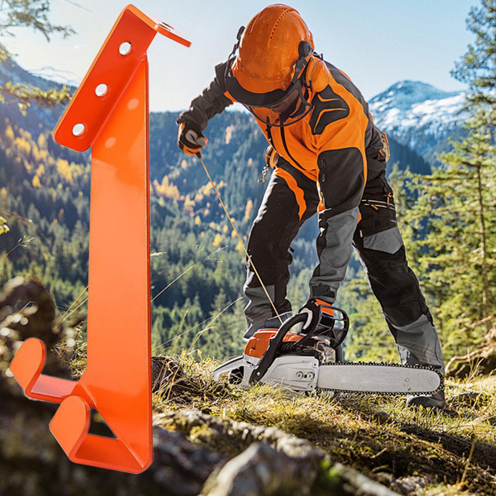 Chainsaw Wall Mount Stainless  - Workshop Tools Display recensione e prezzo