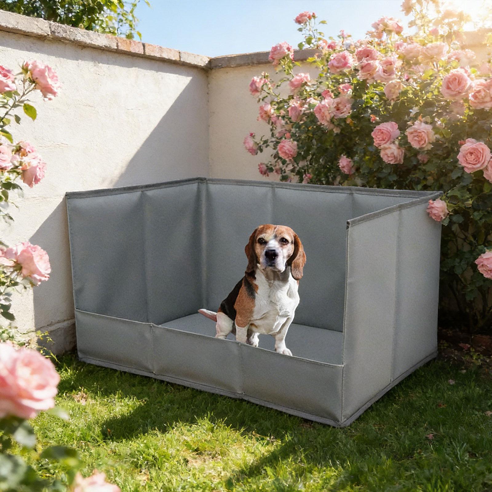 Portable Indoor Dog Potty Tray - Bench Dog Hole recensione e prezzo