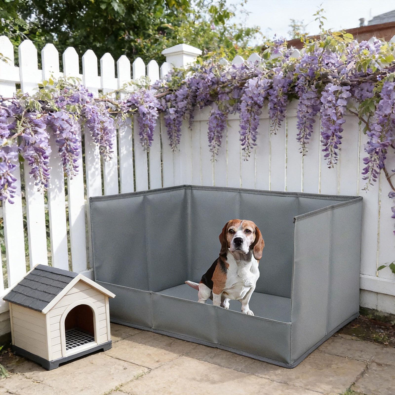Portable Indoor Dog Potty Tray - Bench Dog Hole recensione e prezzo
