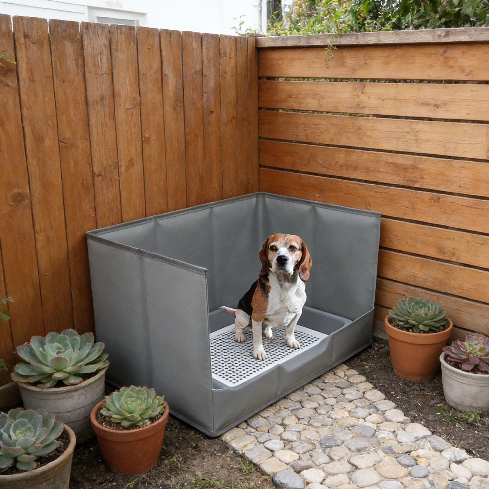 Portable Indoor Dog Potty Tray - Bench Dog Hole recensione e prezzo