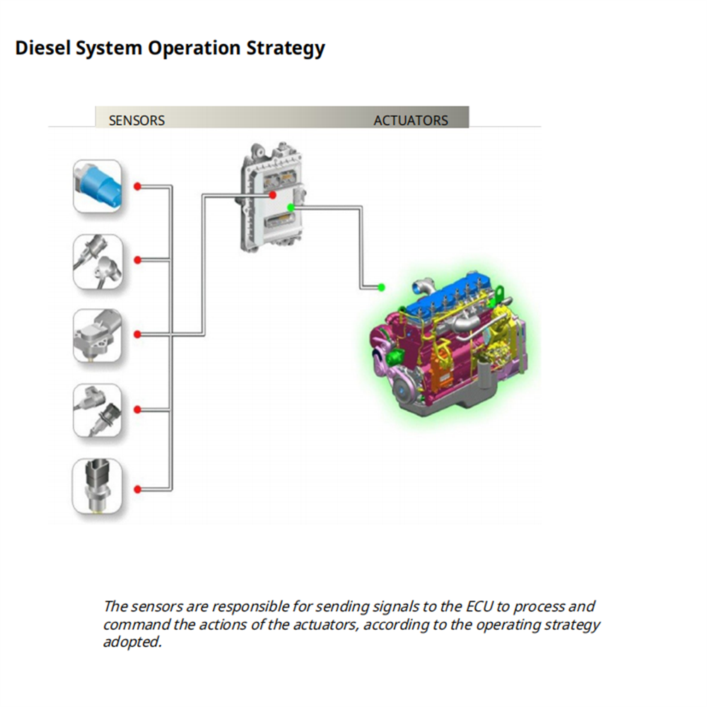 Diesel Electronics Study Guide - Tools In Workshop Pdf recensione e prezzo
